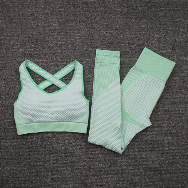 2 or 3 PCS Seamless Women Yoga Set